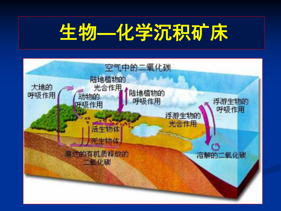 生物化学沉积.ppt_第1页