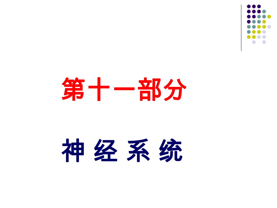 解剖生理学神经系统课件.ppt_第1页