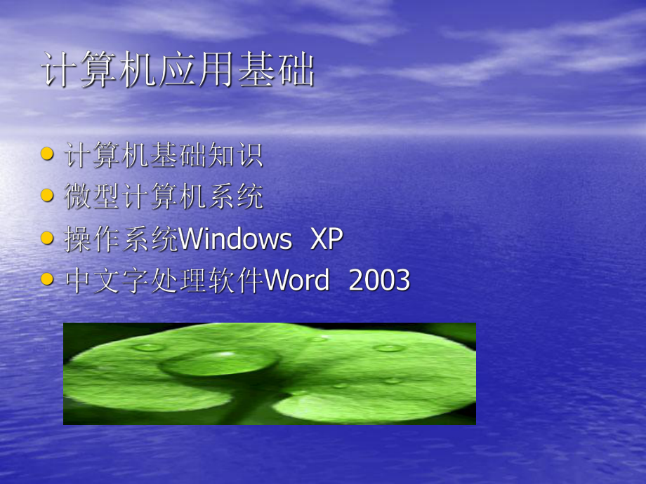 计算机应用基础课件.ppt_第2页