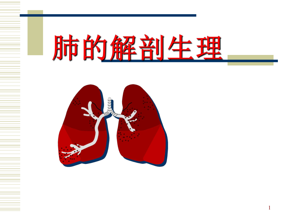 肺的解剖和生理.ppt_第1页