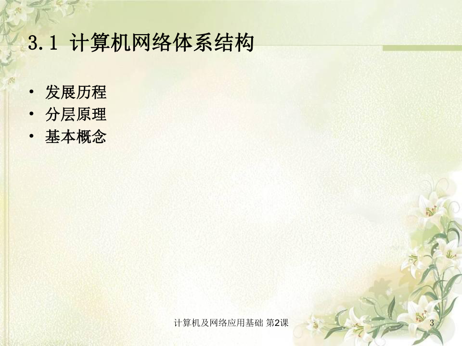 计算机网络体系结构.ppt_第3页