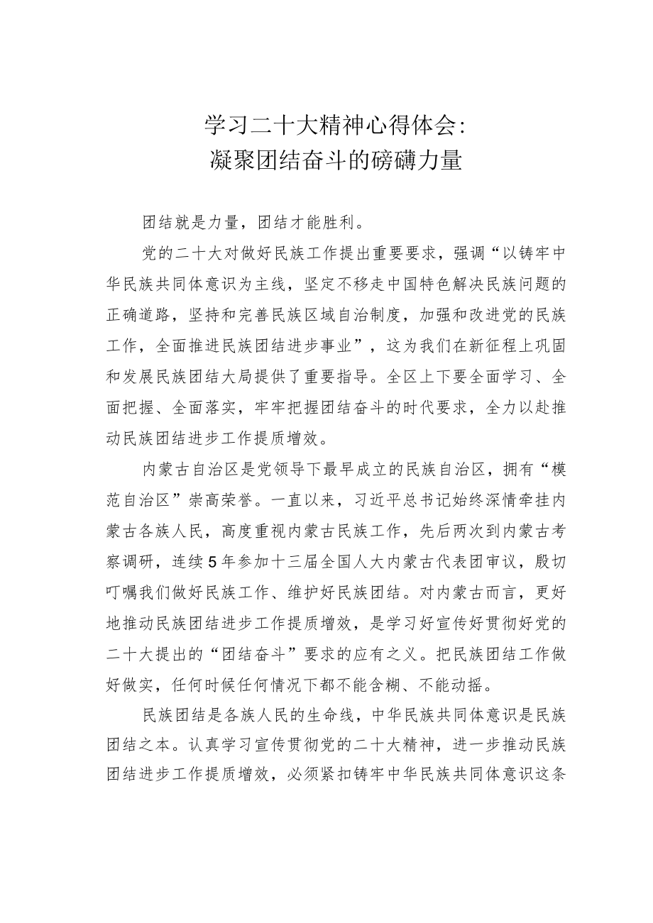 学习二十大精神心得体会：凝聚团结奋斗的磅礴力量.docx_第1页