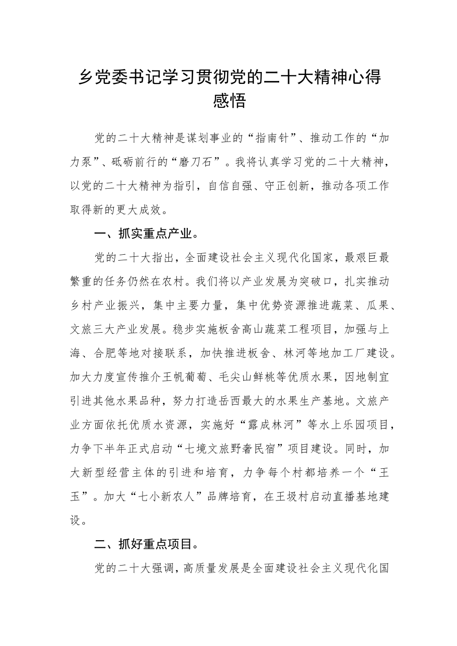 乡党委书记学习贯彻党的二十大精神心得感悟.docx_第1页