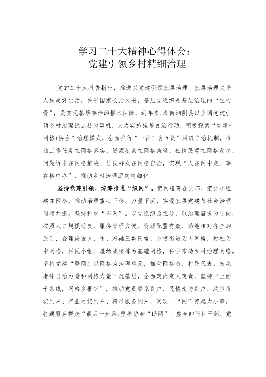 学习二十大精神心得体会：党建引领乡村精细治理.docx_第1页