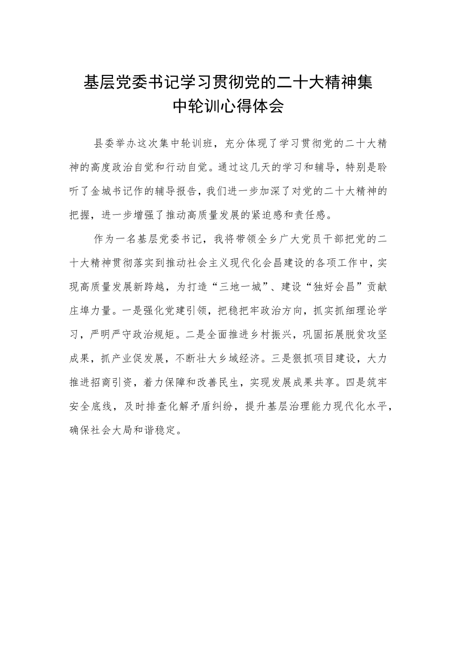 基层党委书记学习贯彻党的二十大精神集中轮训心得体会.docx_第1页