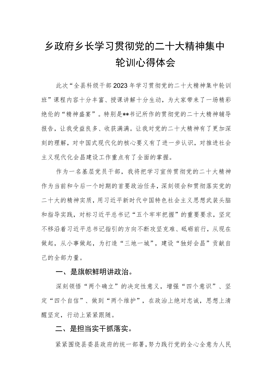 乡政府乡长学习贯彻党的二十大精神集中轮训心得体会.docx_第1页