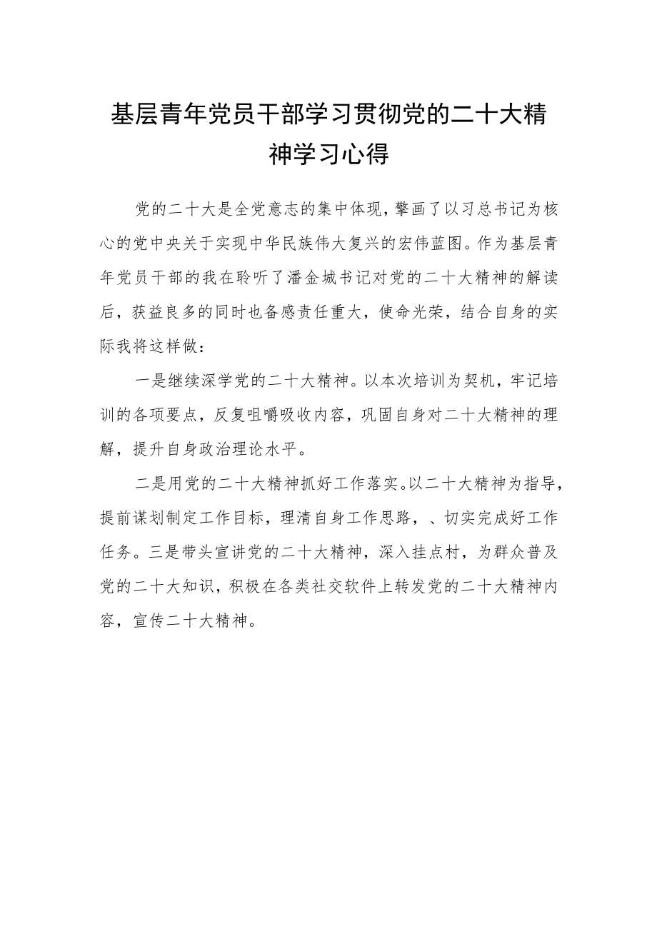 基层青年党员干部学习贯彻党的二十大精神学习心得.docx_第1页