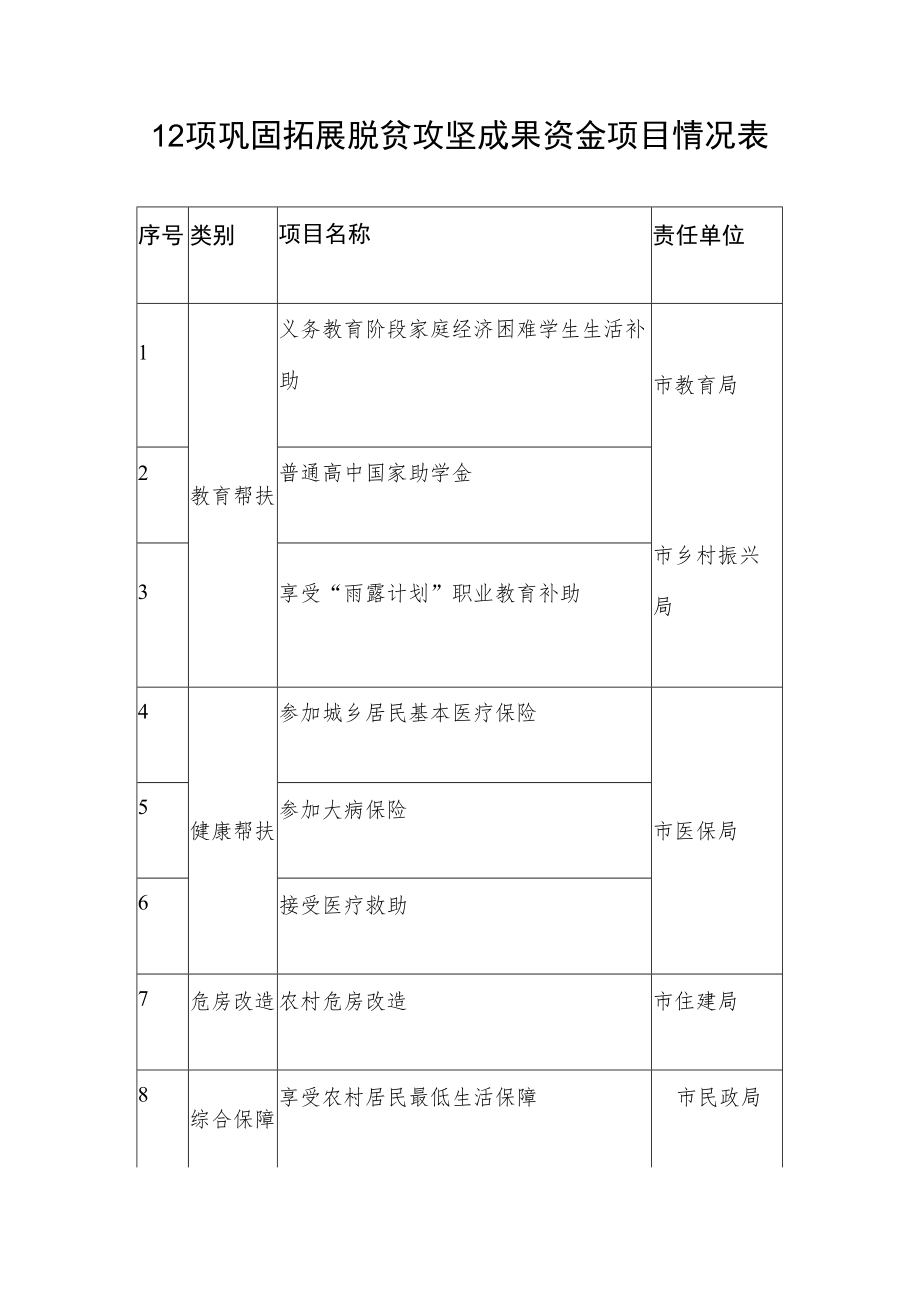 12项巩固拓展脱贫攻坚成果资金项目情况表.docx_第1页