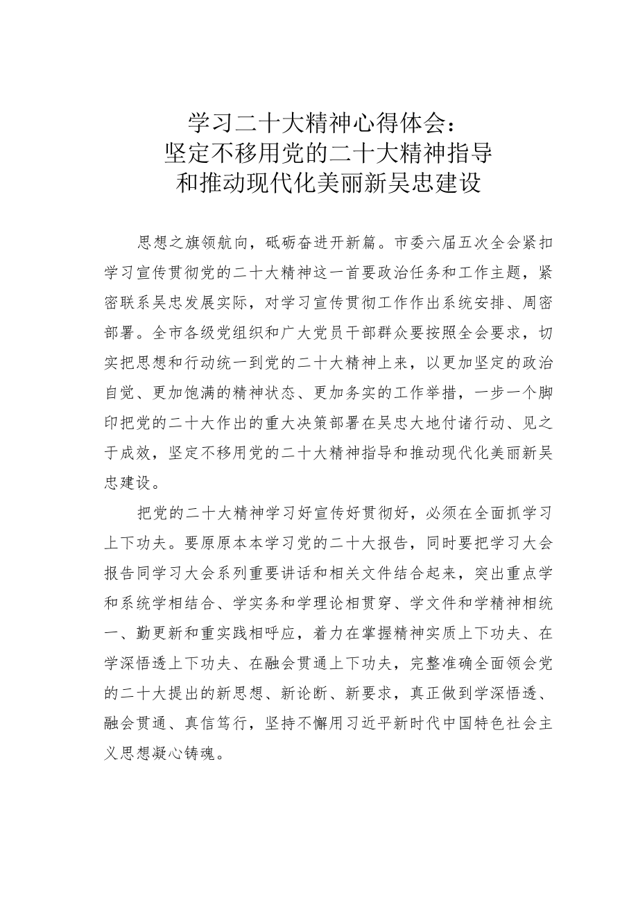 学习二十大精神心得体会：坚定不移用党的二十大精神指导和推动现代化美丽新吴忠建设.docx_第1页