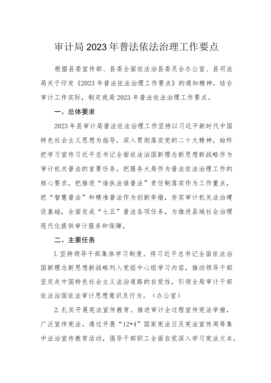 审计局2023年普法依法治理工作要点.docx_第1页