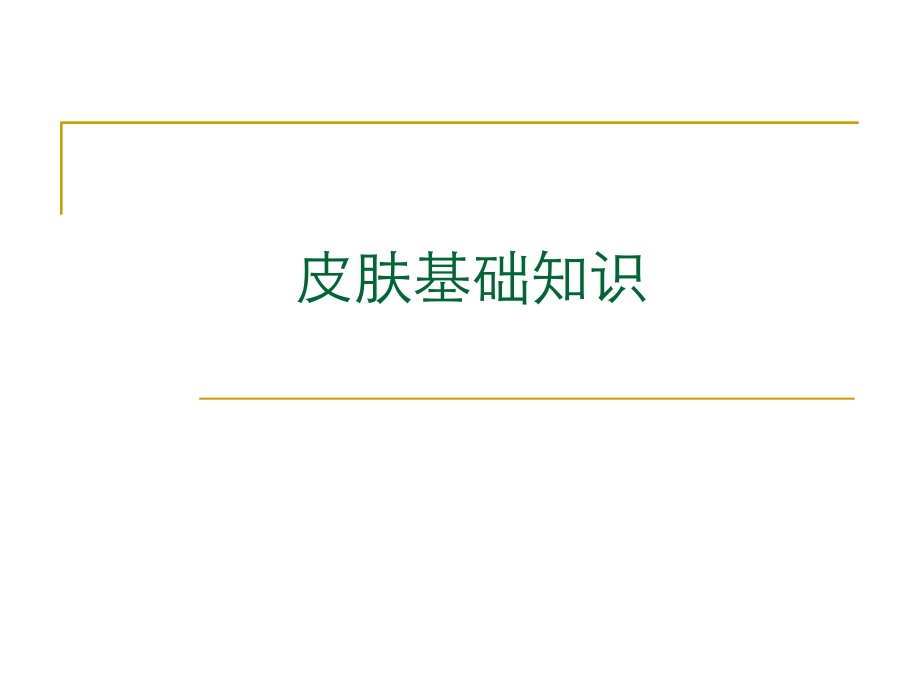 皮肤基础知识.ppt_第1页