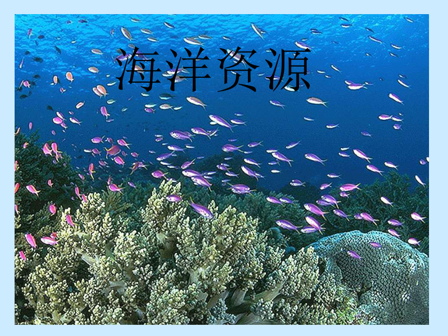 海洋资源与海洋环境保护.ppt_第1页