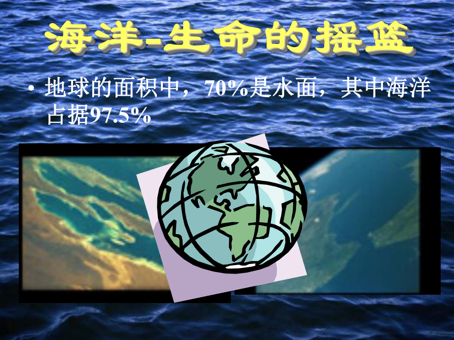 海洋与环境保护.ppt_第3页