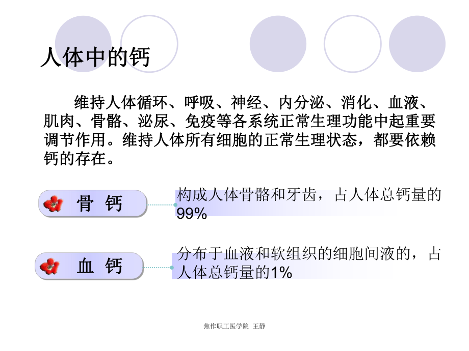 老人补钙问题研究.ppt_第2页