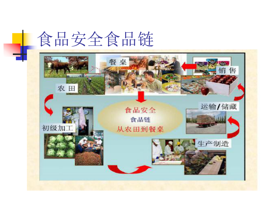 食品安全管理员培训讲义.ppt_第3页