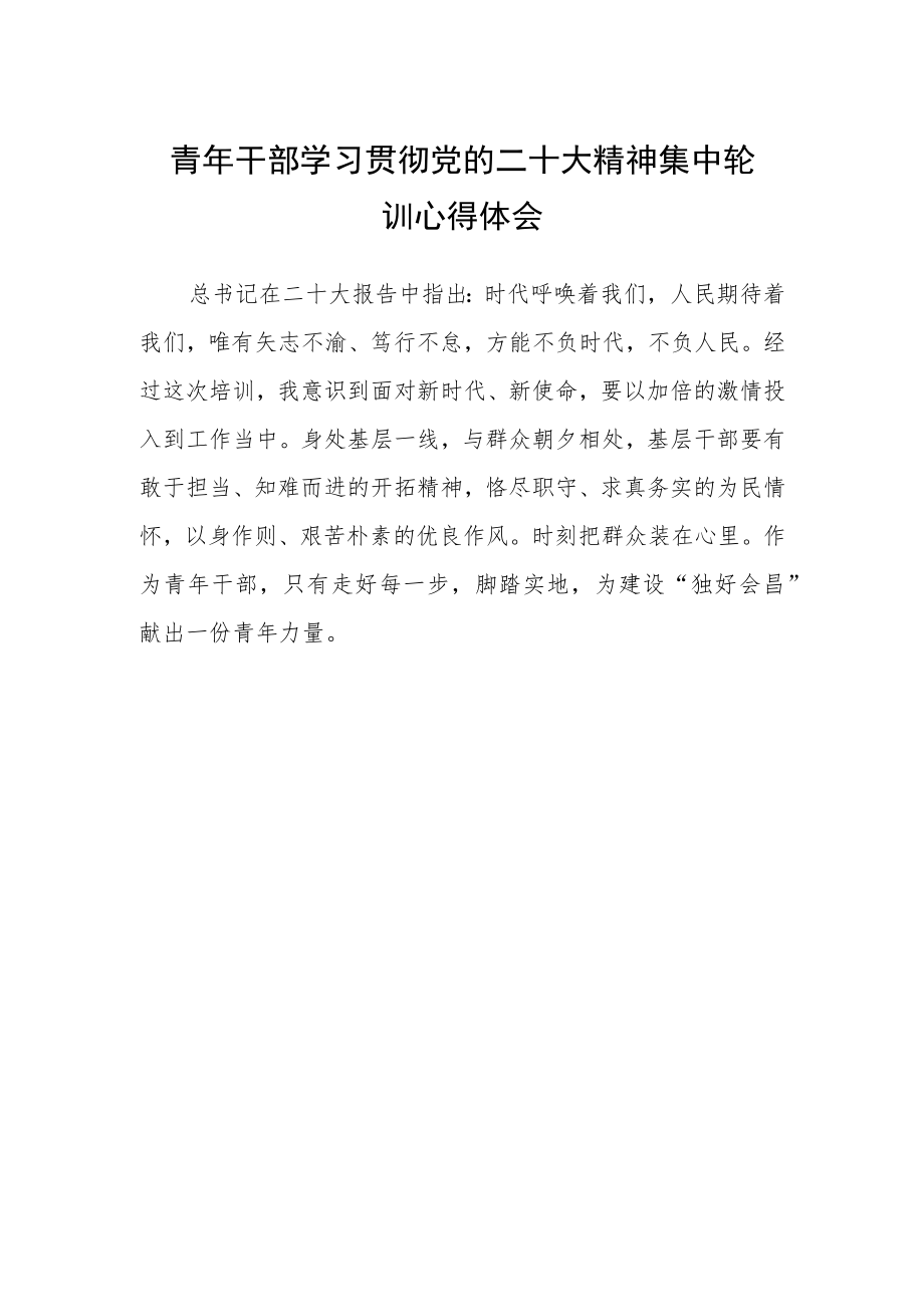 青年干部学习贯彻党的二十大精神集中轮训心得体会.docx_第1页