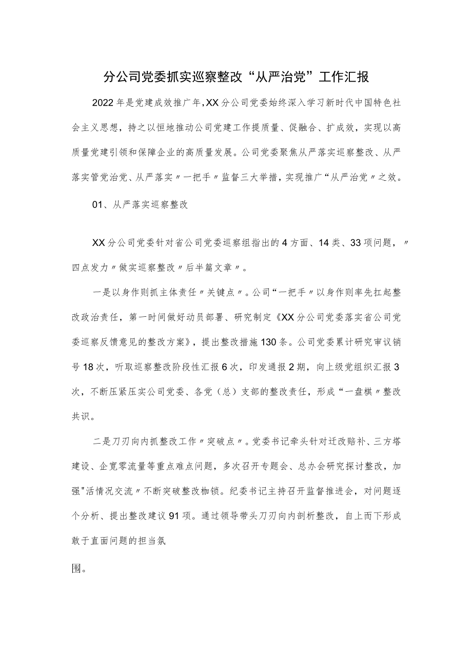 分公司党委抓实巡察整改“从严治党”工作汇报.docx_第1页