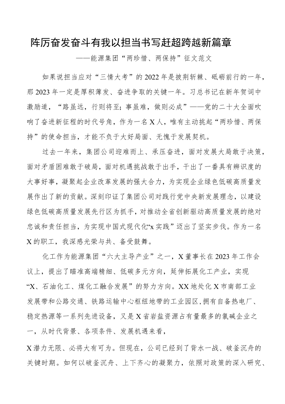 能源集团两珍惜两保持征文奋斗担当.docx_第1页