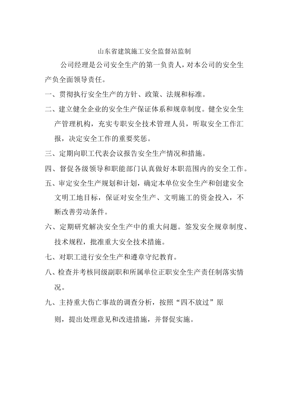 2.2 各级各部门安全生产责任制.docx_第2页