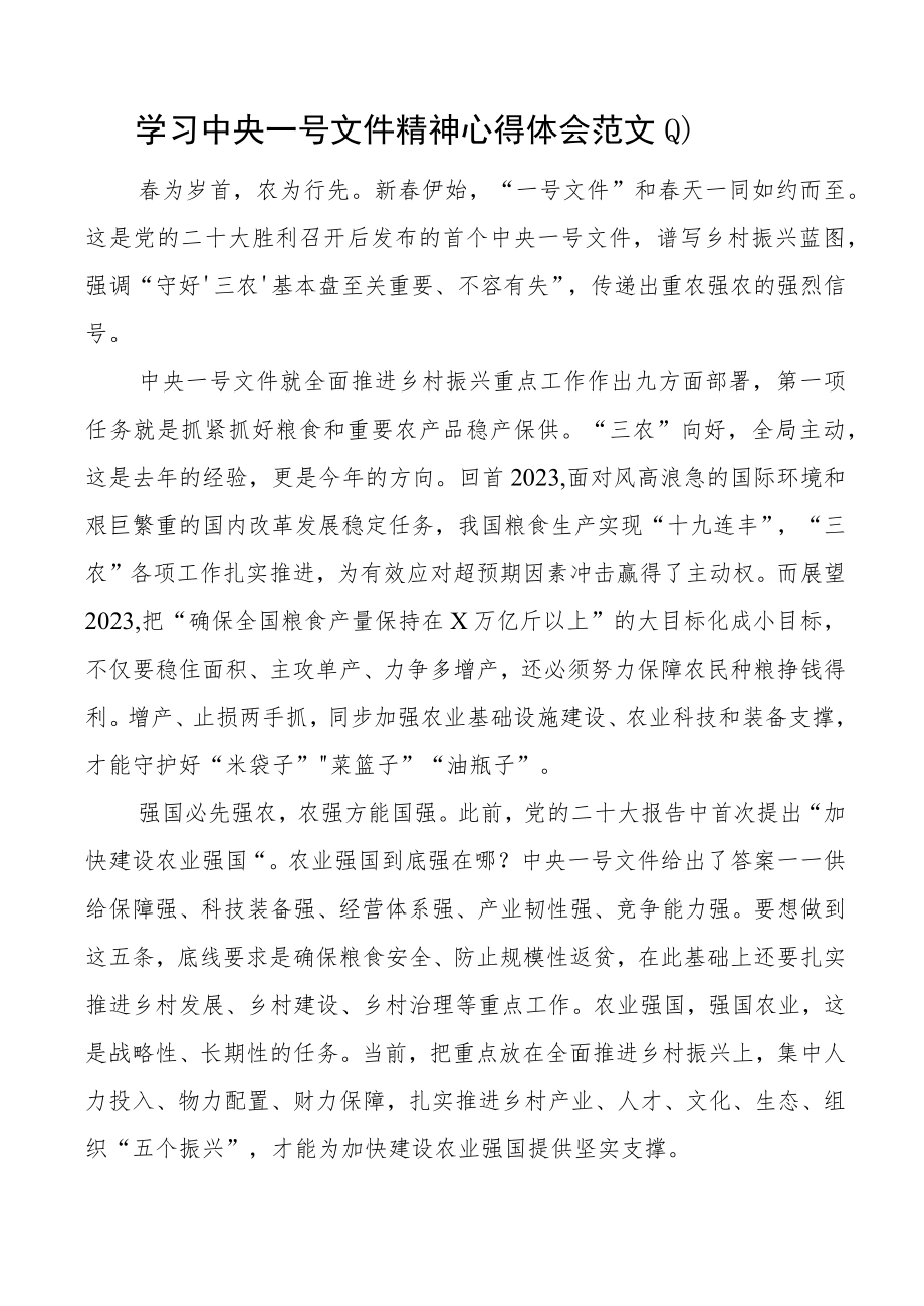 2023年一号文件精神心得体会研讨发言材料4篇.docx_第1页