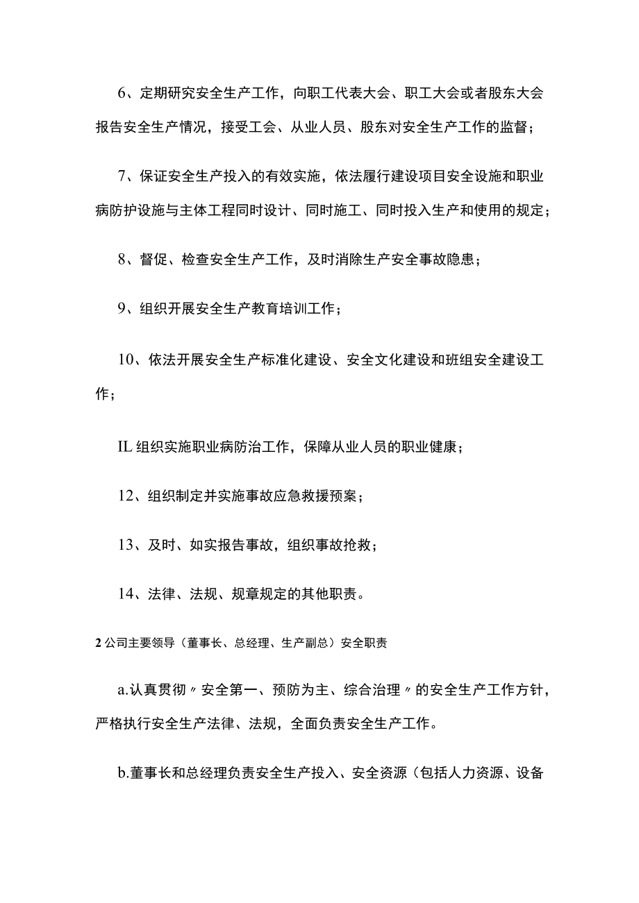 2023版公司安全生产规章制度-组织机构-安全生产责任制[全].docx_第2页