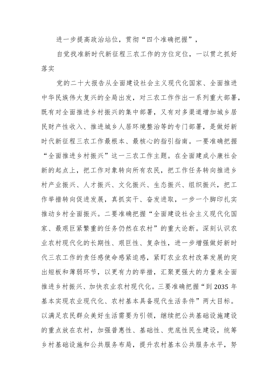 乡村振兴践行党的二十大精神研讨交流发言三篇.docx_第2页