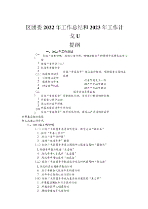 区团委2022年工作总结和2023年工作计划.docx