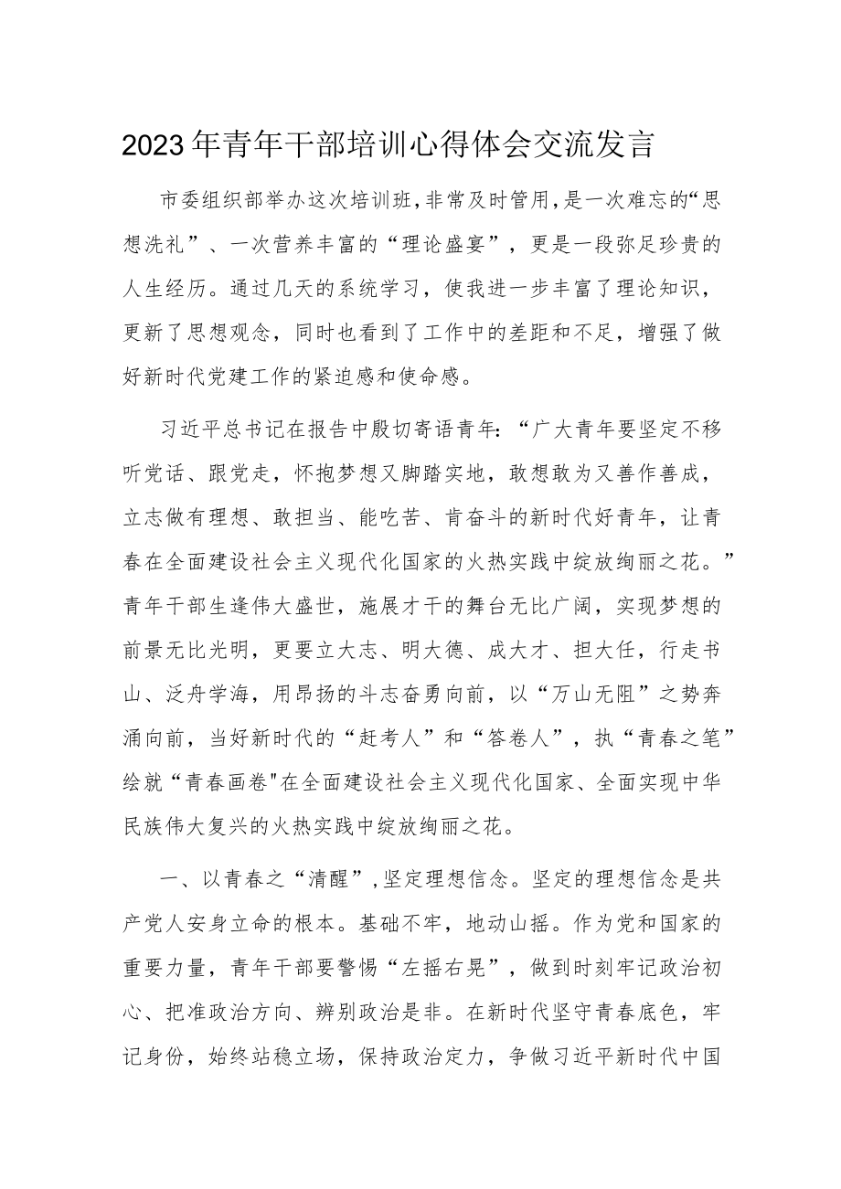 2023年青年干部培训心得体会交流发言.docx_第1页