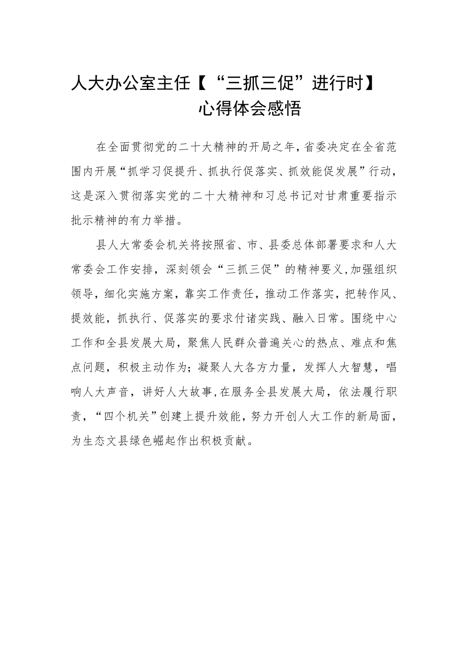 人大办公室主任 【“三抓三促”进行时】心得体会感悟.docx_第1页