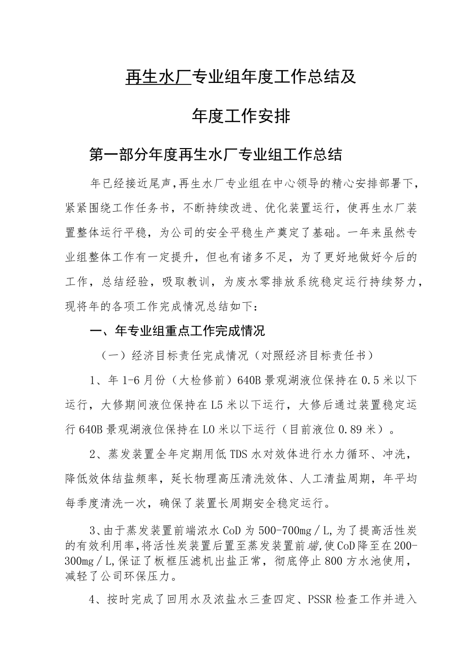 再生水厂专业组年度工作总结及下年安排（能源化工有限公司）.docx_第1页