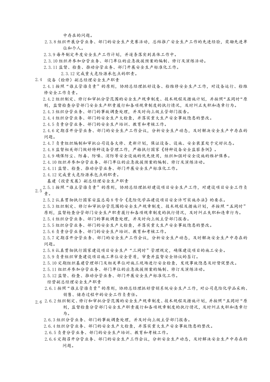 公司各级组织及人员安全生产责任制.docx_第2页