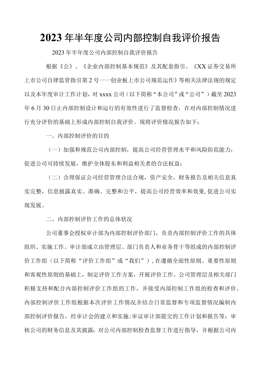 2023年半年度公司内部控制自我评价报告.docx_第1页