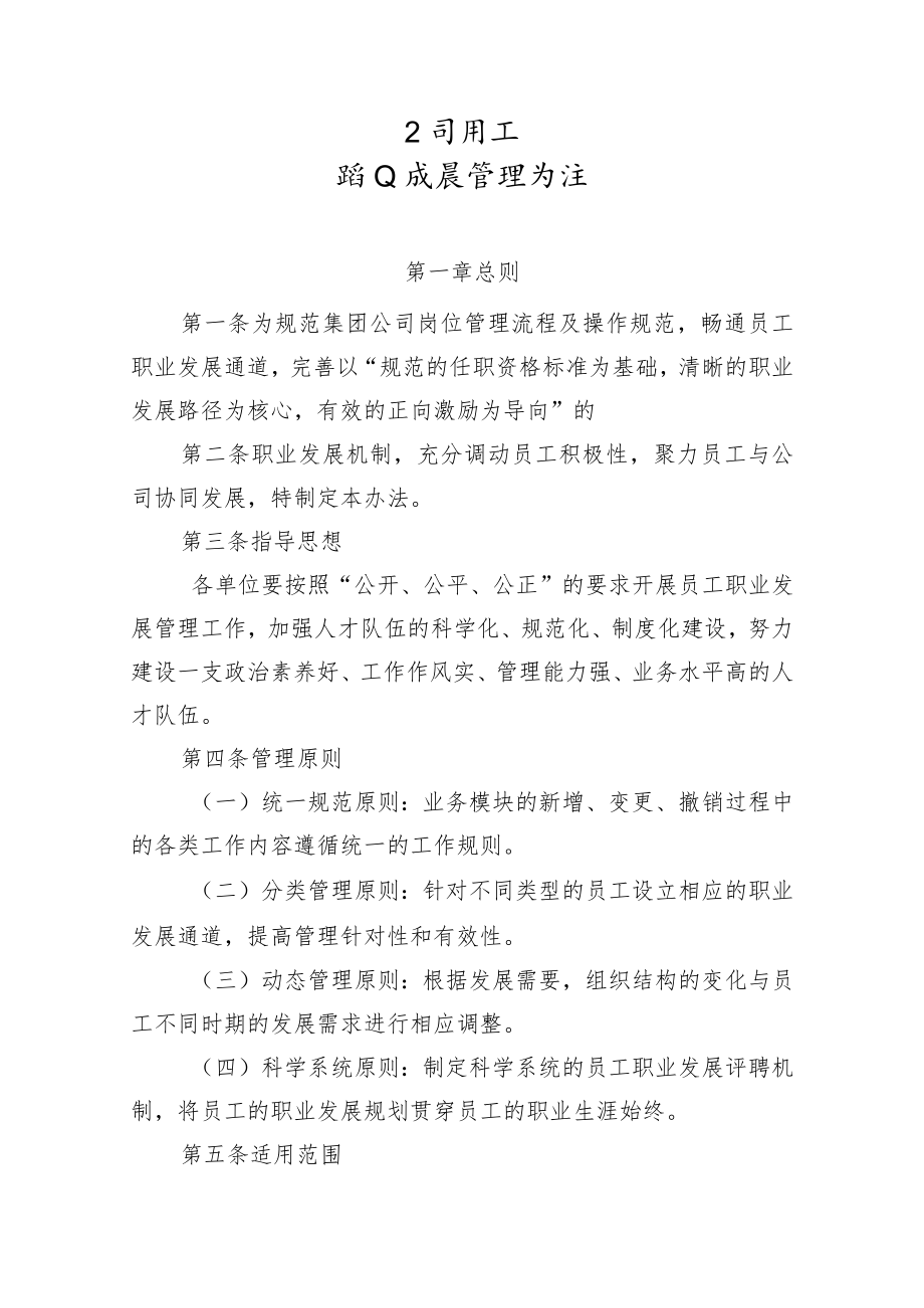 公司员工职业发展管理办法.docx_第1页