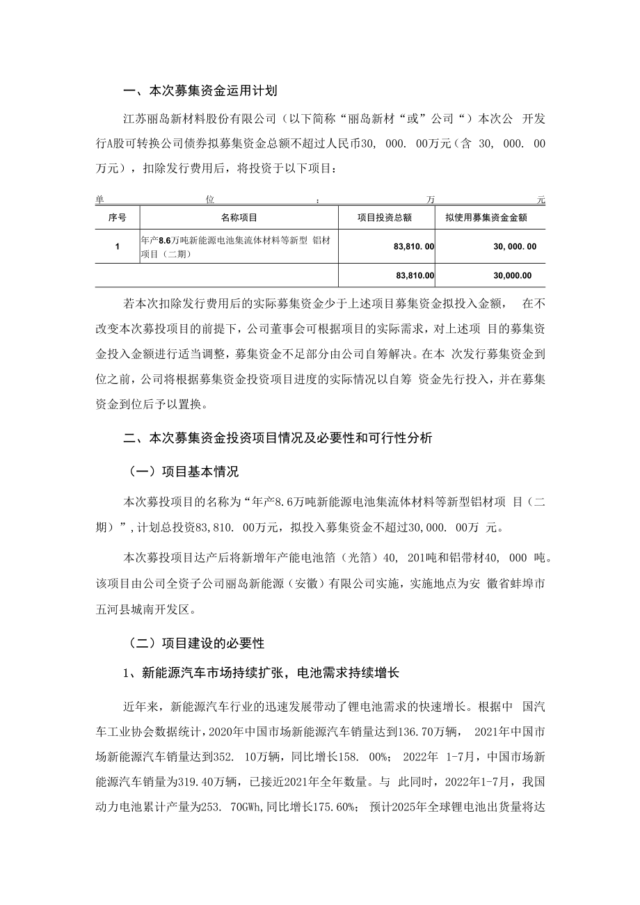 丽岛新材：公司公开发行A股可转换公司债券募集资金运用的可行性研究报告.docx_第2页