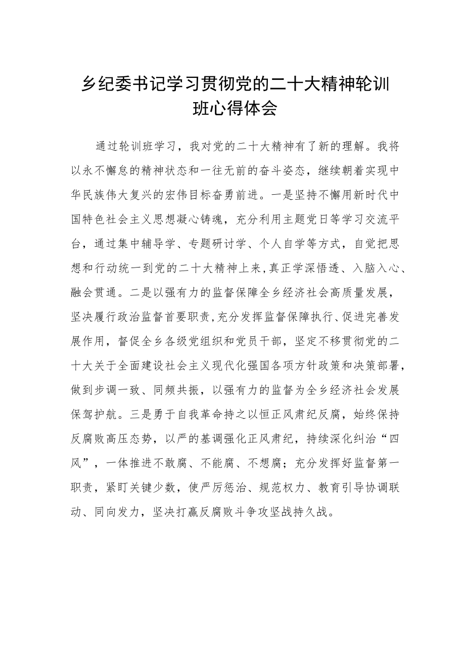 乡纪委书记学习贯彻党的二十大精神轮训班心得体会.docx_第1页