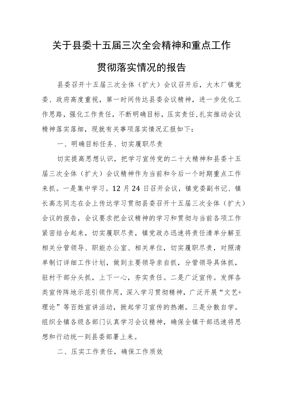 关于县委十五届三次全会精神和重点工作贯彻落实情况的报告.docx_第1页