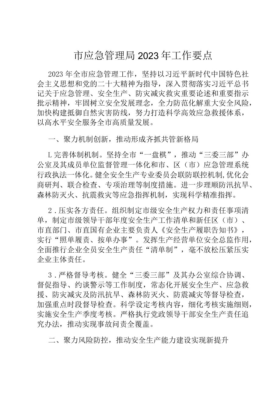 市应急管理局2023年工作要点.docx_第1页