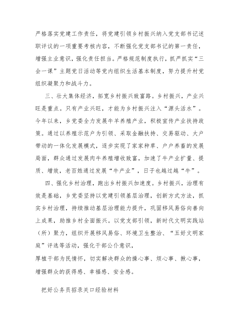 党建引领乡村振兴经验交流材料.docx_第2页