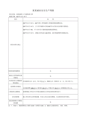 安全监理周报 模板.docx