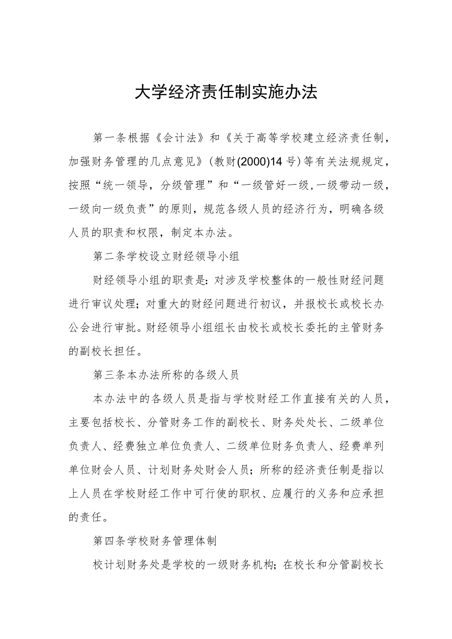 大学经济责任制实施办法.docx_第1页