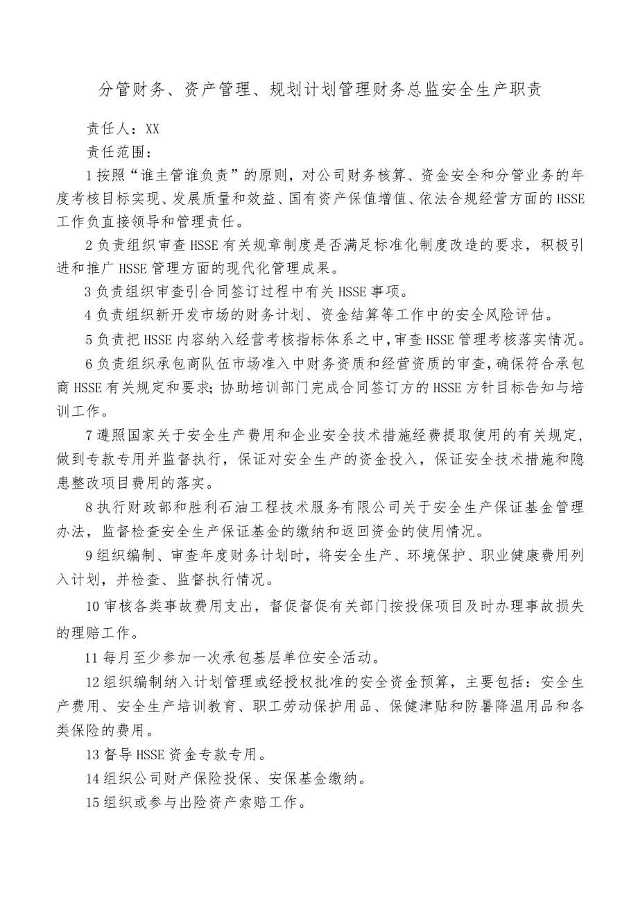 分管财务、资产管理、规划计划管理财务总监安全生产职责.docx_第1页