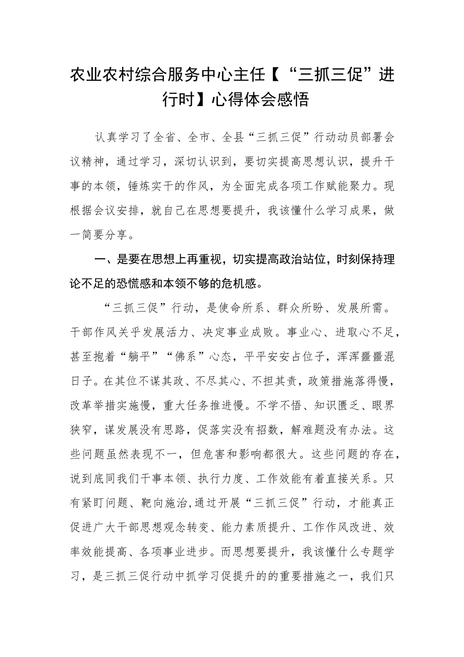 农业农村综合服务中心主任【“三抓三促”进行时】心得体会感悟.docx_第1页