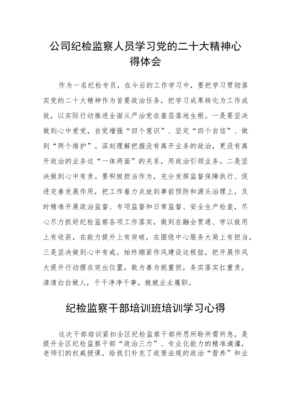 公司纪检监察人员学习党的二十大精神心得体会(精选三篇).docx_第1页