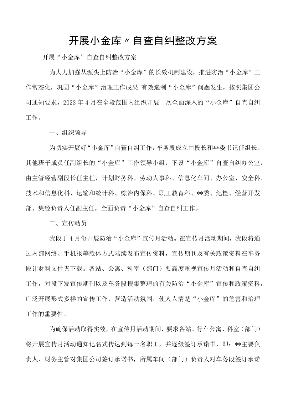 开展小金库”自查自纠整改方案.docx_第1页