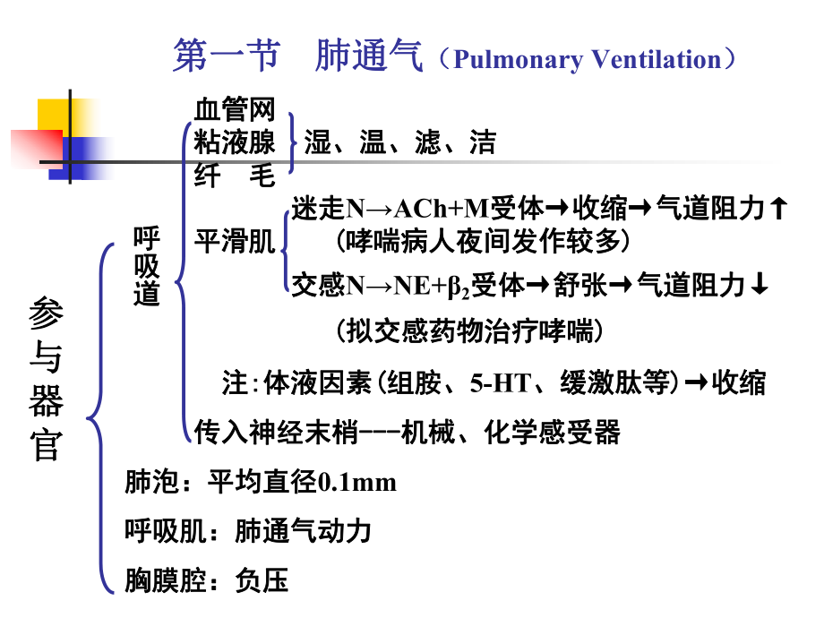 呼吸生理生理学.ppt_第3页