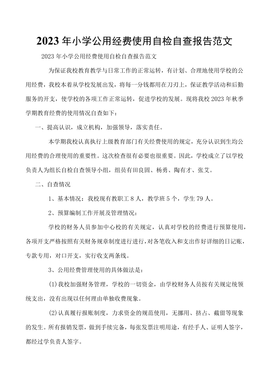 2023年小学公用经费使用自检自查报告范文.docx_第1页