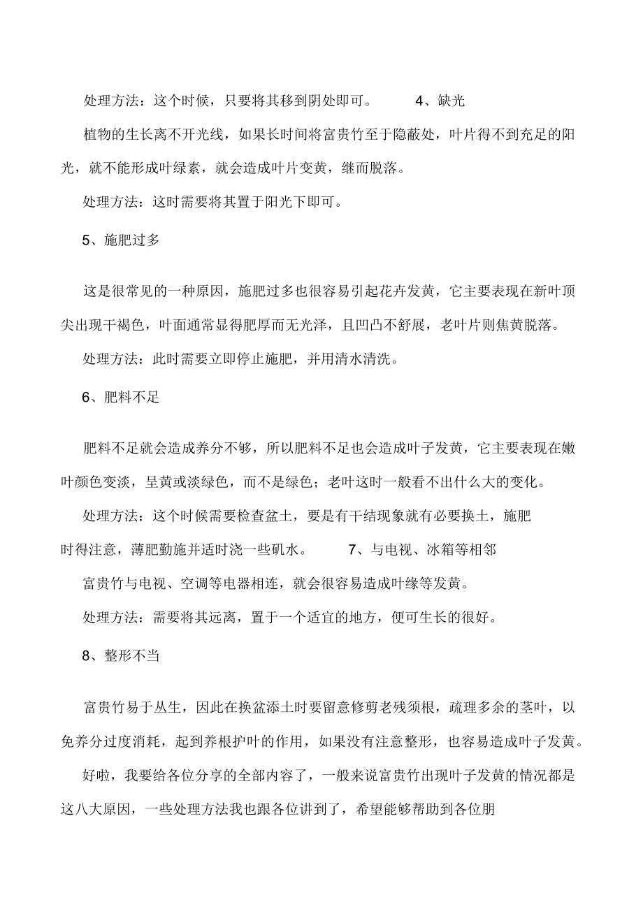 富贵竹叶子发黄常见的几大原因及处理方法.docx_第2页