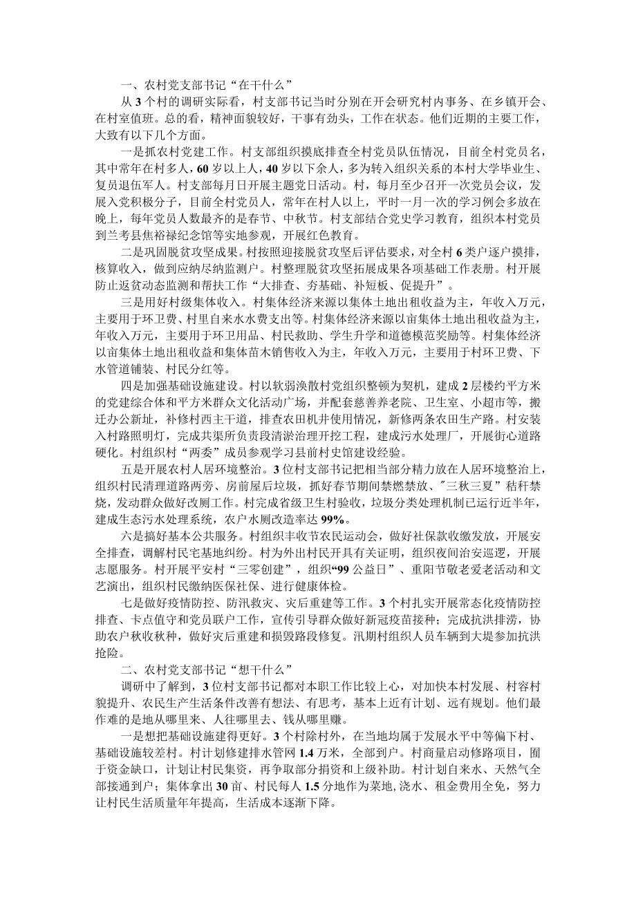 在干什么 想干什么 该干什么 能干什么 农村带头人履行职责发挥作用调研思考.docx_第3页