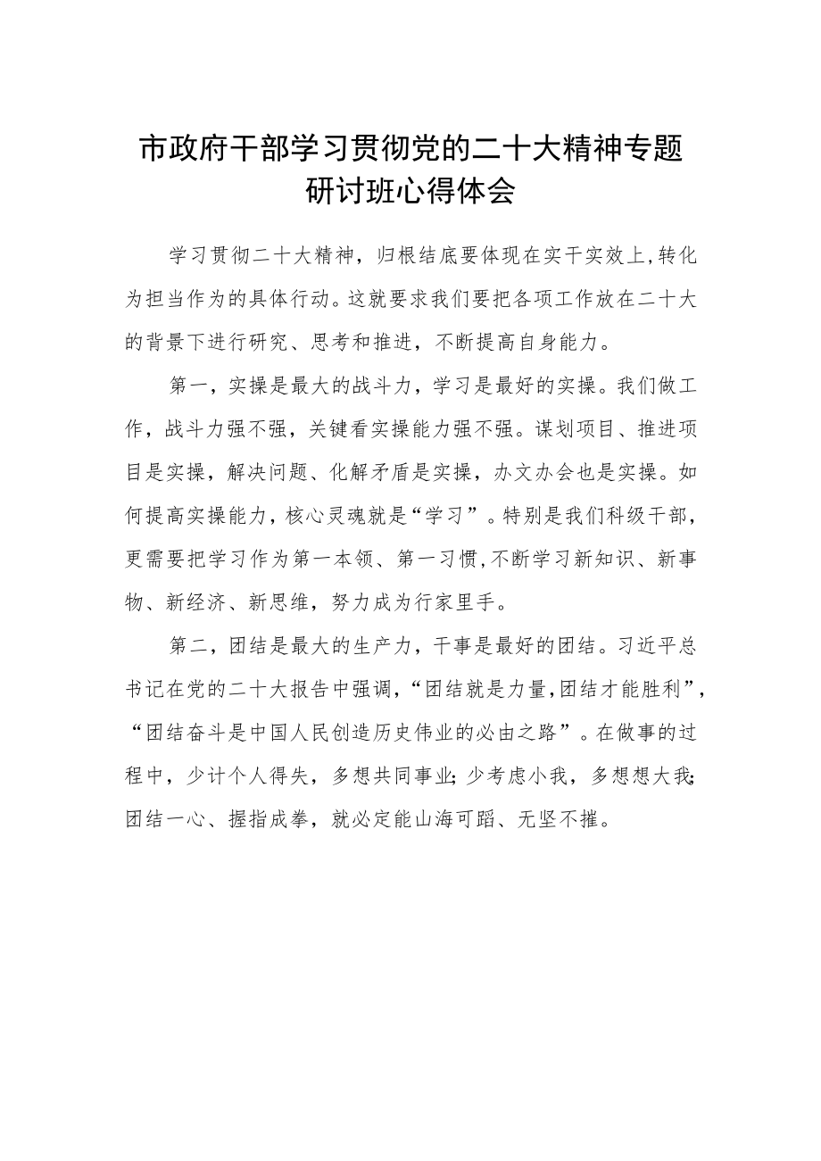 市政府干部学习贯彻党的二十大精神专题研讨班心得体会.docx_第1页