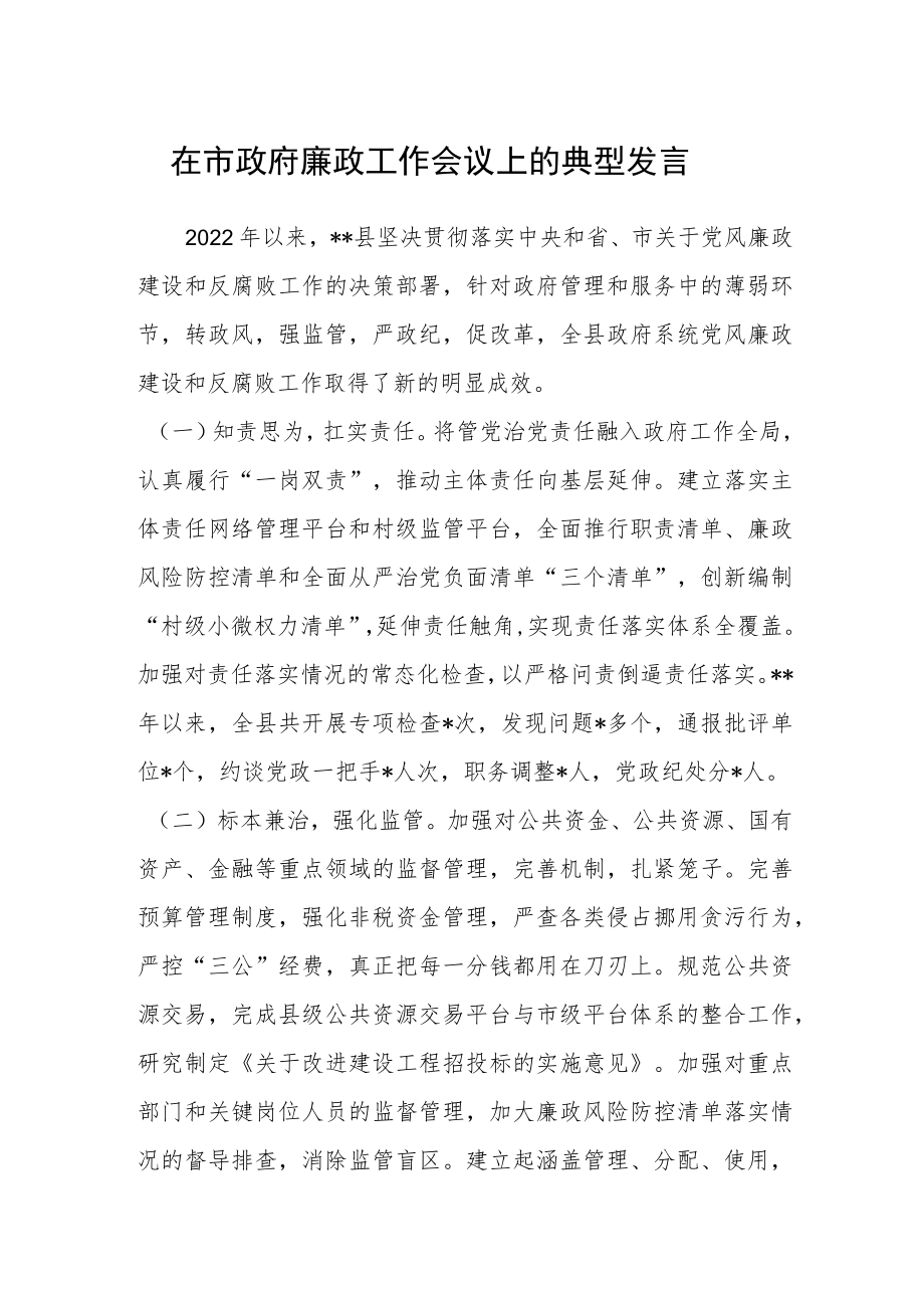 在市政府廉政工作会议上的典型发言.docx_第1页